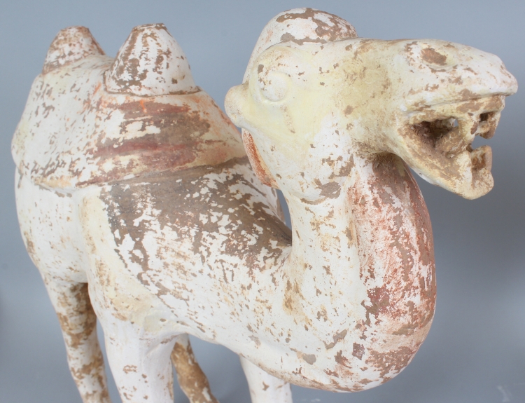 A LARGE PAIR OF BACTRIAN POTTERY CAMELS, possibly Tang Dynasty, each standing four square with - Image 7 of 9