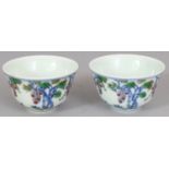 A PAIR OF CHINESE DOUCAI PORCELAIN TEA BOWLS, the sides decorated with hanging vine, each base