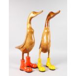 A LARGE PAIR OF CARVED WOOD STANDING DUCKS. 23ins high.