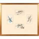 A LOVELY SET OF FOUR BIRD PICTURES on ivory, each 4ins x 2.5ins, in a glazed framed mount.