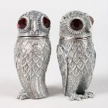 A PAIR OF OWL SALT AND PEPPERS with glass eyes.