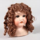 A SIMON HOLBERG DOLLS HEAD with ringlets of hair, stamped S star H, 1181, 3.