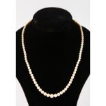 A SINGLE STRAND PEARL NECKLACE with 18ct yellow gold and coral clasp.