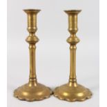 A PAIR OF EARLY PETAL BASE BRASS CANDLESTICKS. 9.25ins high.