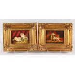 A PAIR OF GILT FRAMED PICTURES OF CATS. 4.5ins x 6.5ins.