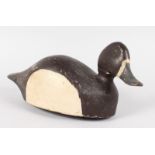 A PAINTED DECOY DUCK with lead weight. 14ins long.