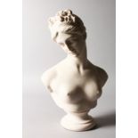 A GOOD CARVED WHITE BUST OF CLYTIE. 14ins high.