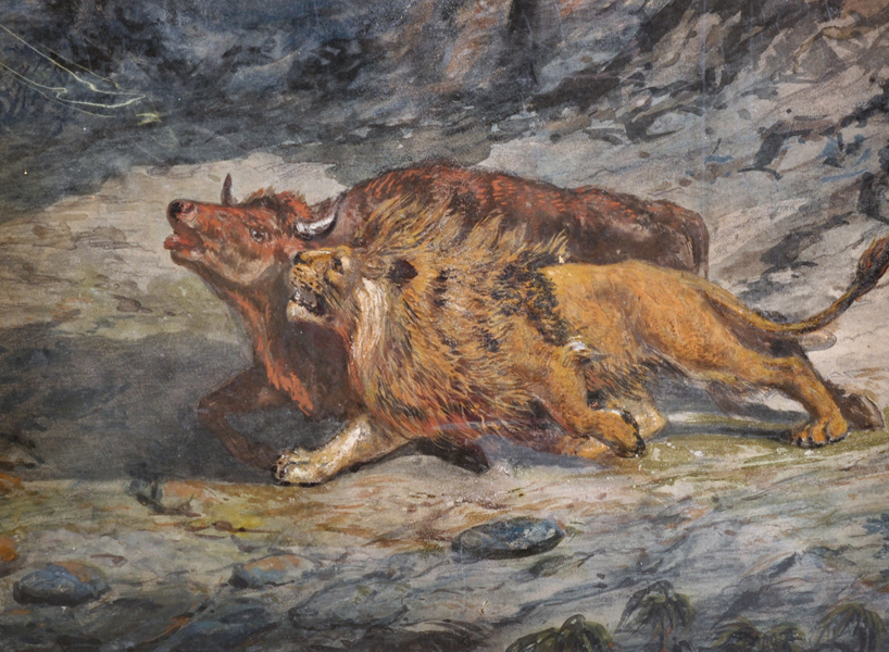 19th Century English School. A Lion Attacking a Bull, Mixed Media, Unframed, 12" x 17.75",