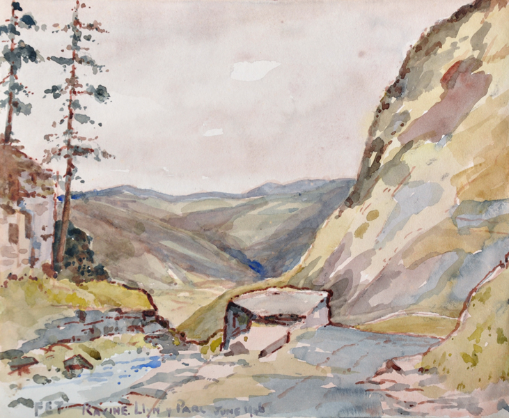 F... E... Taylor (19th Century) British. "Ravine, Llyn y Parc", Watercolour, Signed with Initials,