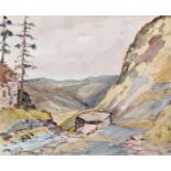 F... E... Taylor (19th Century) British. "Ravine, Llyn y Parc", Watercolour, Signed with Initials,