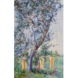 Frances Guise (19th - 20th Century) European. "In a Southern Garden, Capri", Watercolour, Signed,