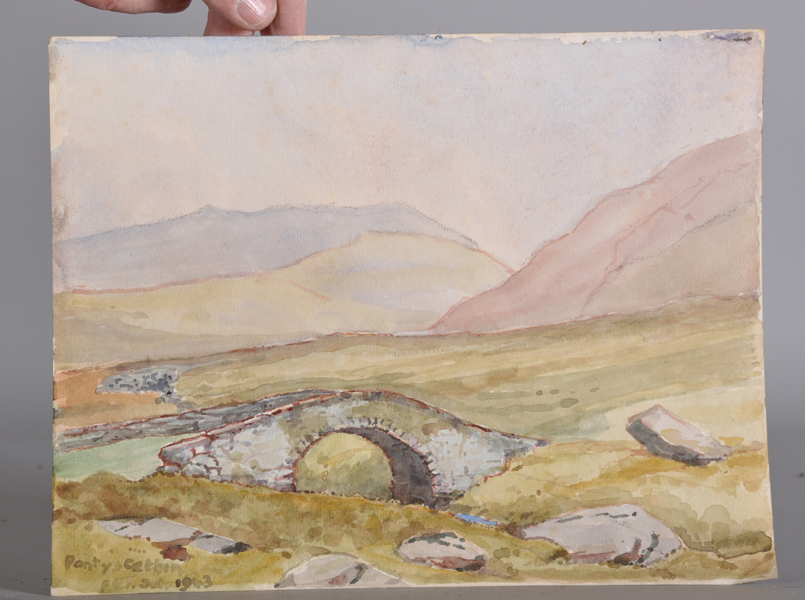 F... E... Taylor (19th Century) British. "Ravine, Llyn y Parc", Watercolour, Signed with Initials, - Image 3 of 4