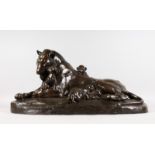 VICTOR PETER (1840-1918) FRENCH A SUPERB LARGE BRONZE LION AND CUBS. Signed. 29ins long x 13ins