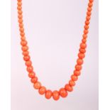 A VERY GOOD CORAL NECKLACE, weighing 84gms, with approx. 70 stones of diminishing sizes.