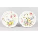 A PAIR OF ITALIAN SHAPED CIRCULAR POTTERY CHARGERS, painted with flowers and butterflies. 14ins