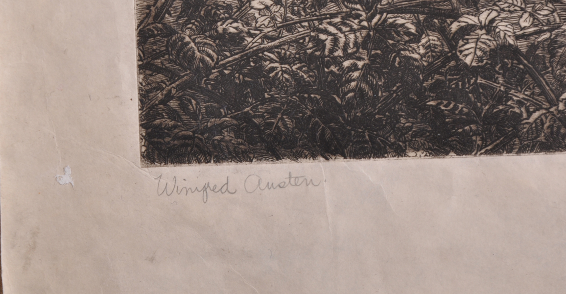 Winifred Marie Louise Austin (1876-1964) British. A Wild Boar in the undergrowth, Etching, Signed in - Image 3 of 4