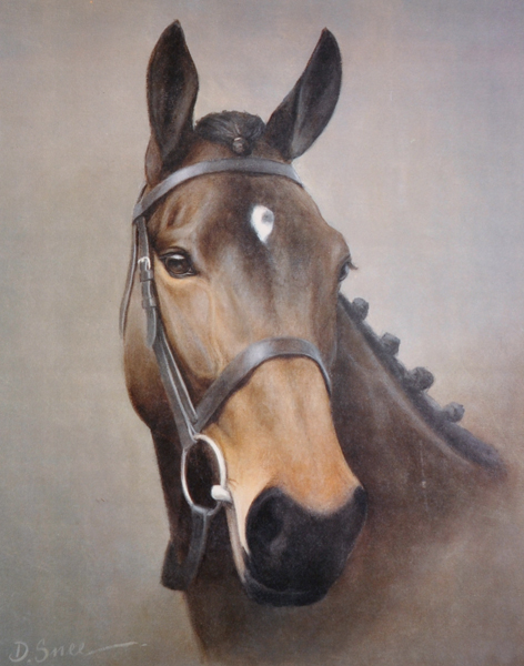 Des Snee (20th Century) Irish. "Dawn Run", Head of a Horse, Lithograph, Signed and numbered 405/