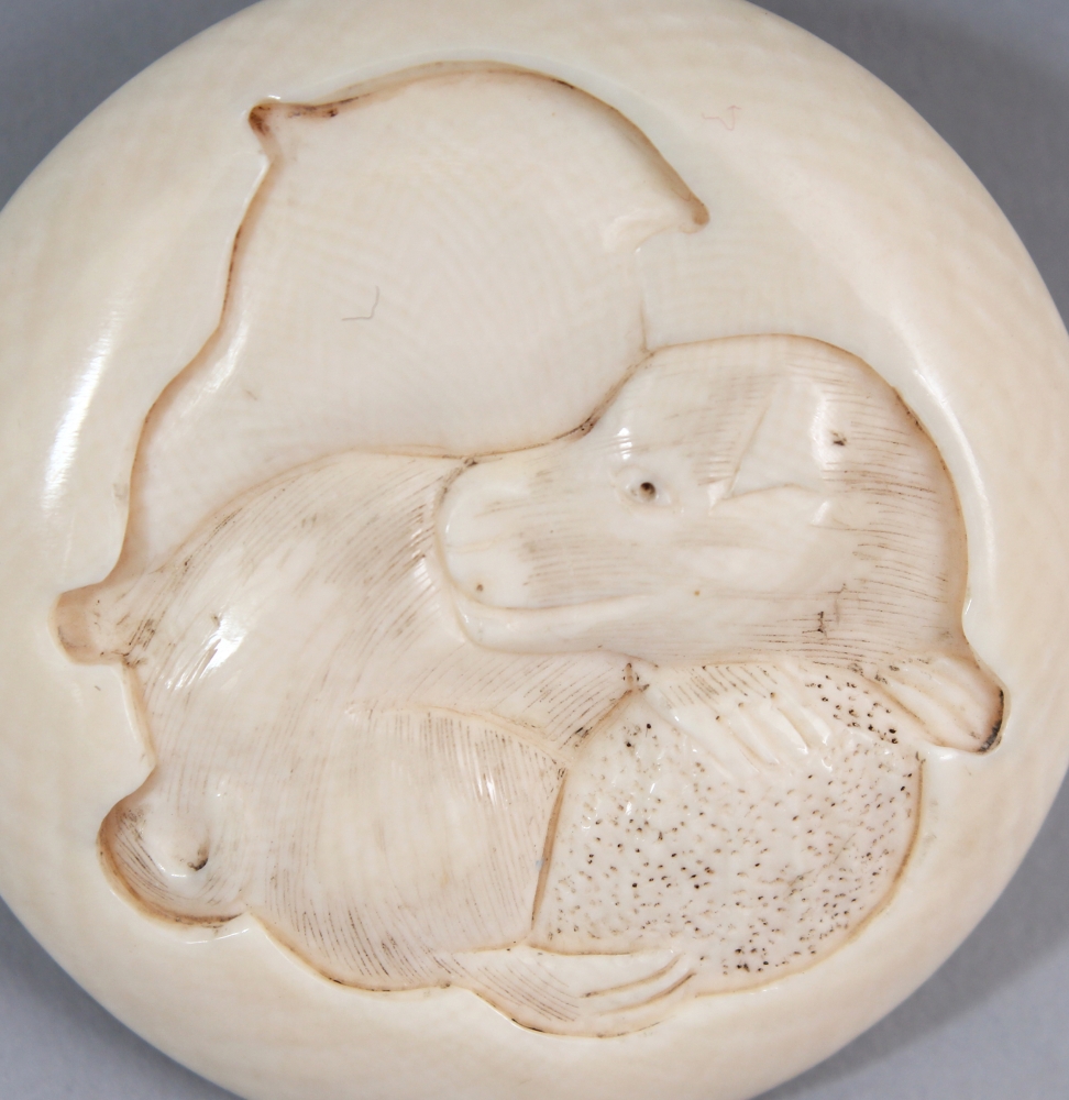 A SIGNED JAPANESE MEIJI PERIOD IVORY MANJU NETSUKE, carved to one surface with a seated puppy - Image 2 of 5