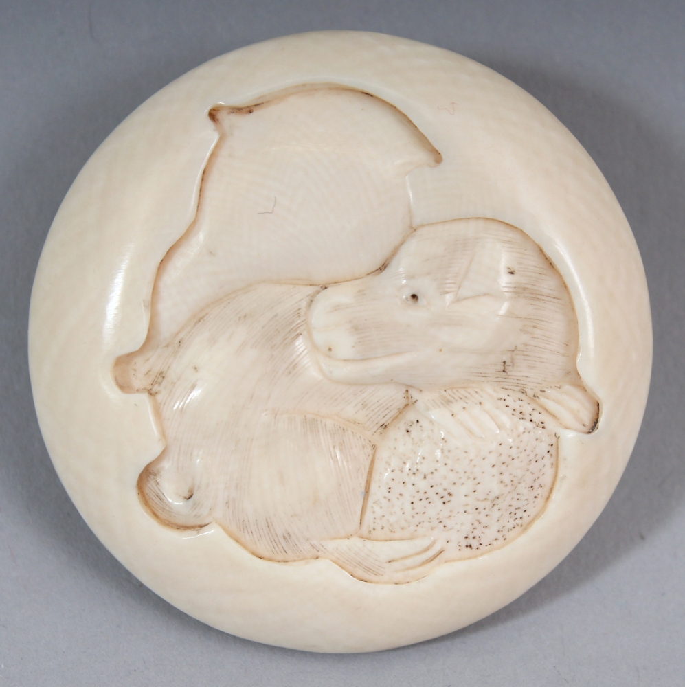 A SIGNED JAPANESE MEIJI PERIOD IVORY MANJU NETSUKE, carved to one surface with a seated puppy