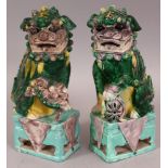 A PAIR OF 19TH/20TH CENTURY CHINESE FAMILLE VERTE PORCELAIN BUDDHISTIC LIONS, each seated on a