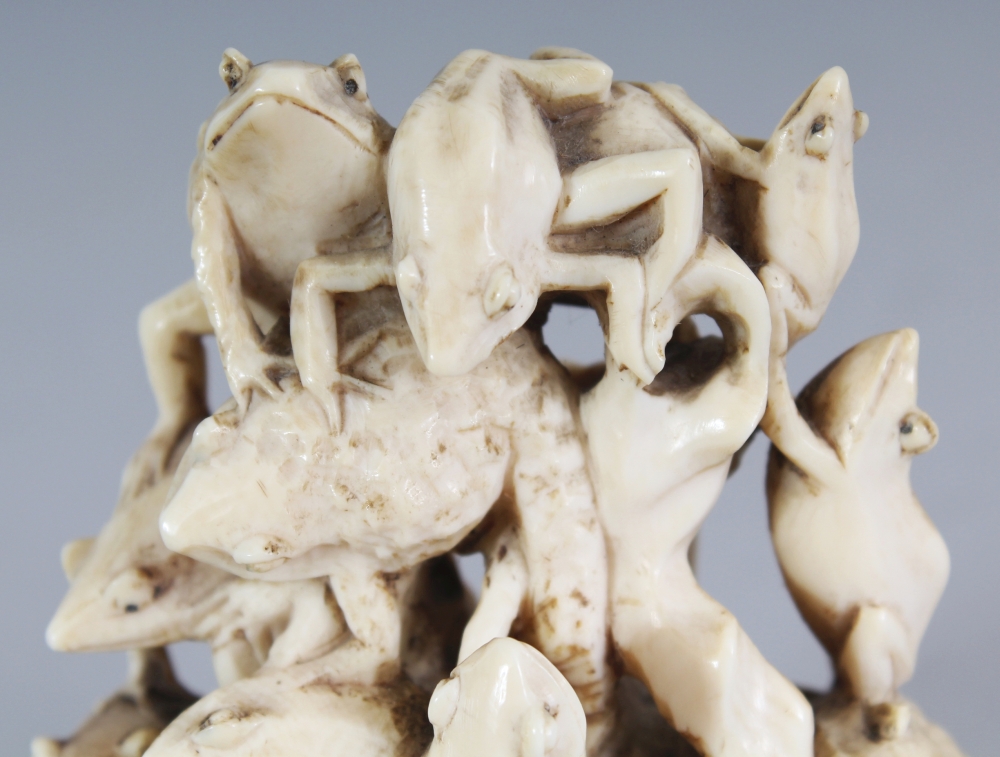 A GOOD SIGNED JAPANESE MEIJI PERIOD IVORY OKIMONO OF A LARGE GROUP OF TOADS, clambering over each - Image 6 of 9