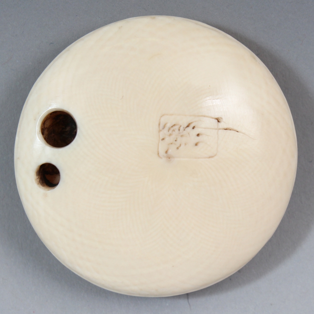 A SIGNED JAPANESE MEIJI PERIOD IVORY MANJU NETSUKE, carved to one surface with a seated puppy - Image 4 of 5