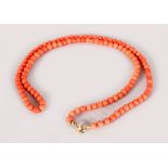 A GOOD CORAL BEAD NECKLACE with gold clasp, 28gms.