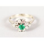 A WHITE GOLD, EMERALD AND DIAMOND CLUSTER RING.