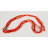 A GOOD FOUR ROW CORAL BEAD NECKLACE with gold clasp, 47gms.