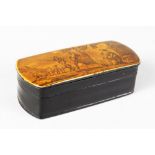 A LONG BONE SNUFF BOX, the lid with a shepherd and sheep outside a cottage. 9.5cms long.