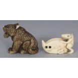 A GOOD QUALITY JAPANESE MEIJI PERIOD STAINED IVORY NETSUKE OF A TIGER, seated with a fierce