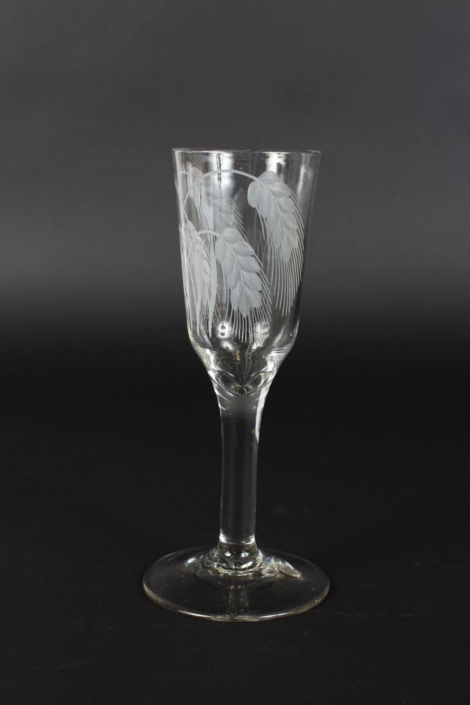 A GEORGIAN ALE GLASS, the bowl engraved with barley. 7.5ins high.