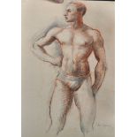Sidney Horne Shepherd (1909-1993) British. Study of a Semi Naked Man, Crayon and Pencil, Signed,