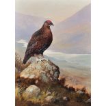 Arthur Lokie (1948- ) British. 'Highland Grouse', in a Mountainous River Landscape, Oil on Canvas,