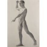 Estella Canziani (1887-1964) British. A Study of a Male Model, Black Chalk, Dated 'June 30th', 28.5"