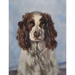 Maria Weaton (19th - 20th Century) British. Study of a Spaniel, Watercolour, Signed in Pencil, in
