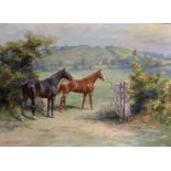 Martin Frank Stainforth (1866-1957) British. 'Thoroughbred and Hunter by a Gate', Oil on Canvas,