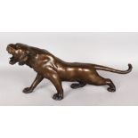 A GOOD BRONZE OF A TIGER. 22ins long.