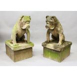 A GOOD PAIR OF GARDEN STATUES, modelled as seated bulldogs, on plain pedestal bases. 2ft 9ins