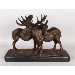 A GOOD BRONZE OF A PAIR OF MOOSE on a marble base. 16ins long.