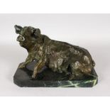 A GOOD ABSTRACT BRONZE OF A SEATED PIG on a marble base. 12ins long.