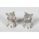 A PAIR OF MINIATURE NOVELTY SILVER DOG'S HEAD SALT AND PEPPER.