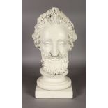 A PLASTER BUST OF A MAN. 17ins high.