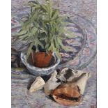 Howard Morgan (1949- ) British. Still Life of a Plant and Shells, Oil on Board, Signed with Monogram