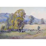 Isabel Wrightson (19th - 20th Century) British. 'Arundel Park, from Burpham', with Cattle in the