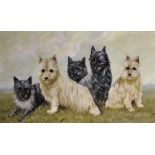 20th Century English School. A Study of Five Cairn Terriers, Oil on Canvas, 16" x 28".