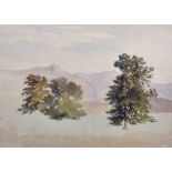 Attributed to Patrick Nasmyth (1787-1831) British. "Trees at West Hall", Watercolour, Inscribed,
