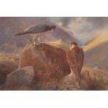 William Oxenden Hammond (1817-1903) British. Peregrine Falcons in a Highland Landscape, Watercolour,