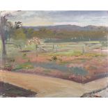 Howard Morgan (1949- ) British. "Wattle Ridge New", Australia, New South Wales, Oil on Canvas,