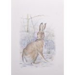 Ron Jobson (20th - 21st Century) British. Study of a Hare, Watercolour, Signed with Initials,